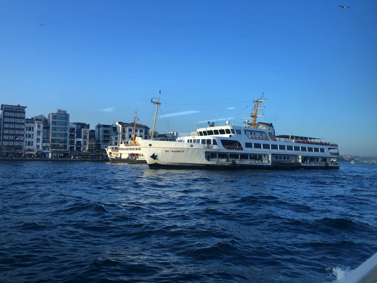 Ferris blancos en las aguas de Estambul, con edificios de la orilla al fondo.