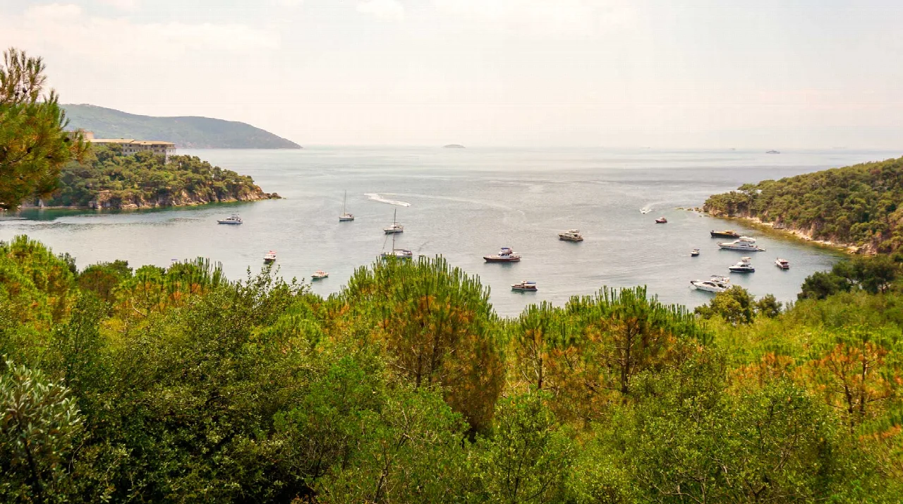 Paisaje de Büyükada con árboles, bahía y barcos.